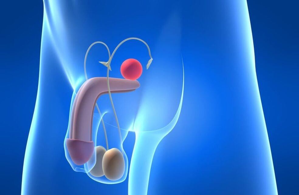 Ang mga sakit sa reproductive system ay maaaring maging sanhi ng pagbaba ng potency sa mga lalaki